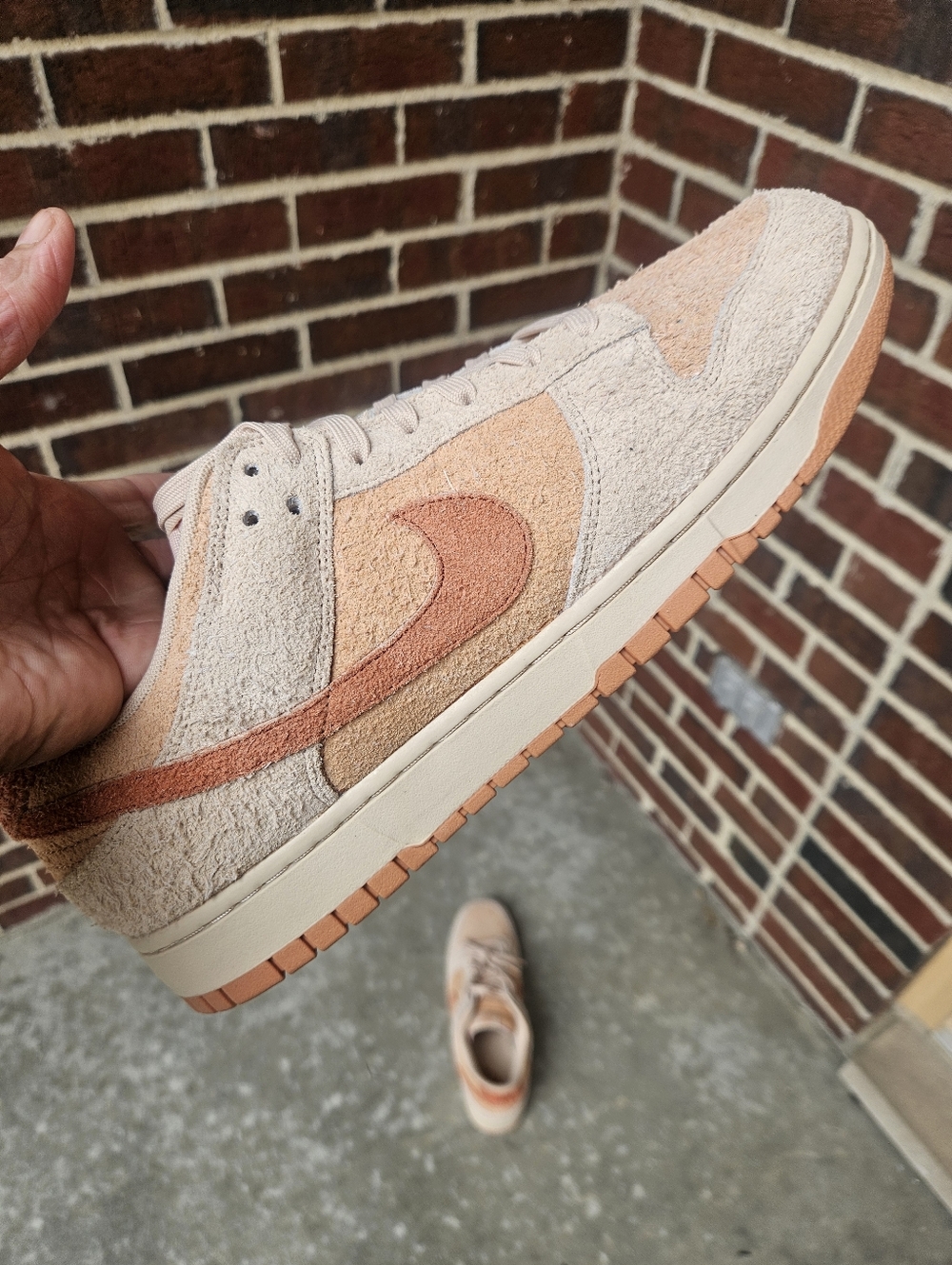 NWOT Nike Dunk Low